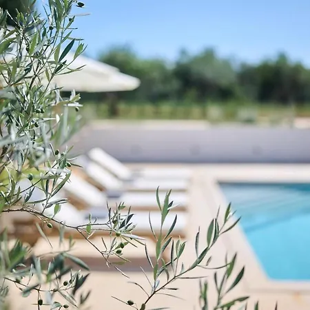Pura Vida Holiday home Umag